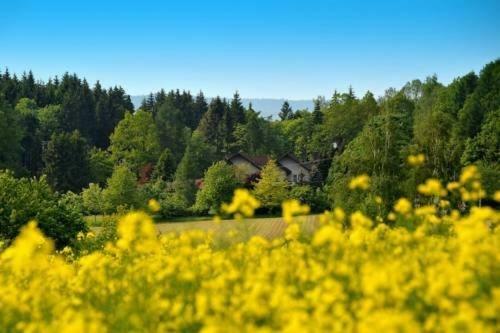 Altes Forsthaus Goseplack Hotel Hardegsen Exterior photo